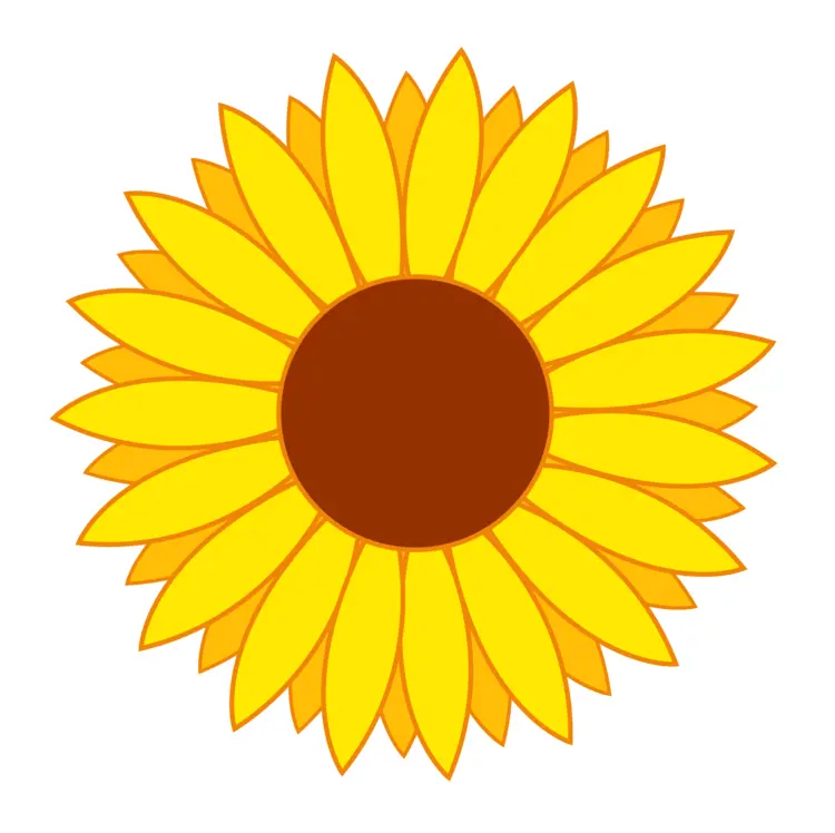 Bright Yellow Sunflower