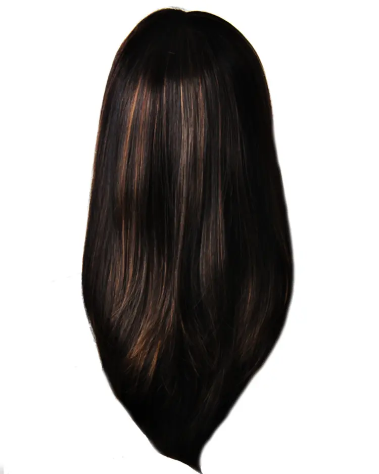 Brown Hair with Highlights