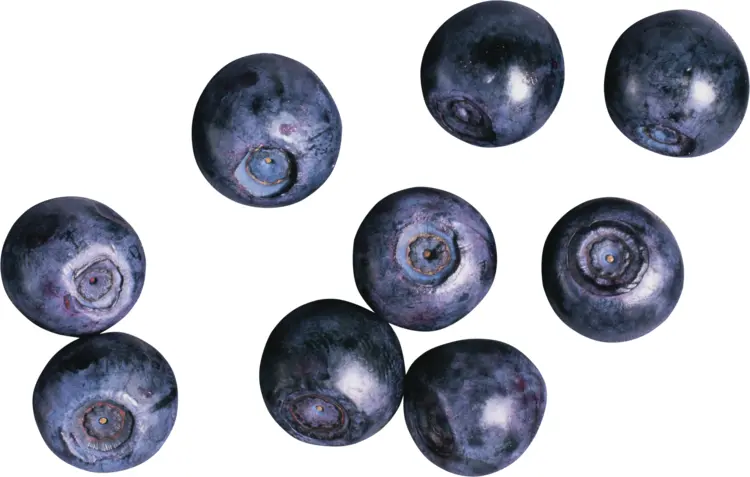 Scattered Blueberries