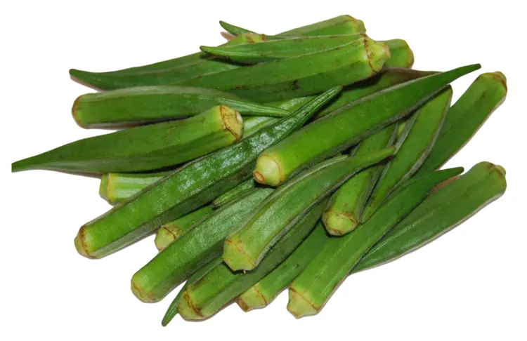 Fresh Green Okra