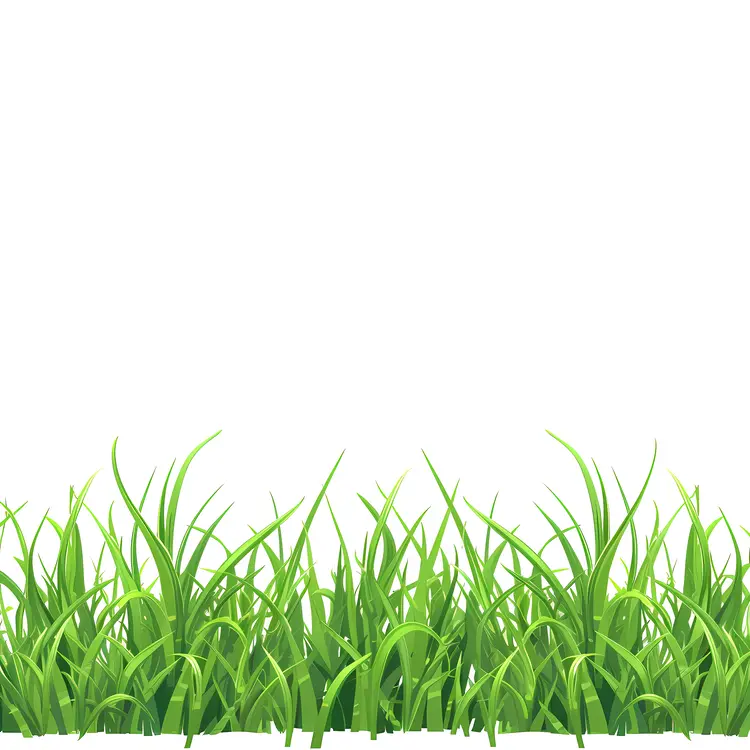 Lush Green Grass in Garden