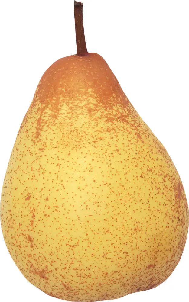 Fresh Yellow Pear