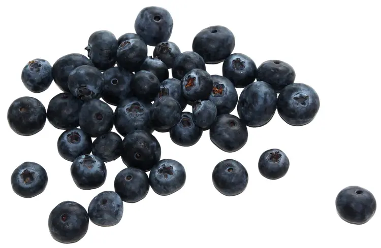 Cluster of Fresh Blueberries