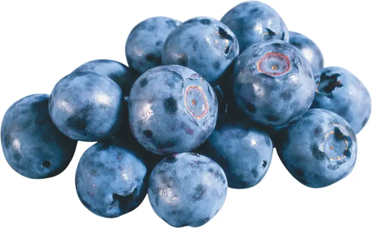 Fresh Blueberries Cluster