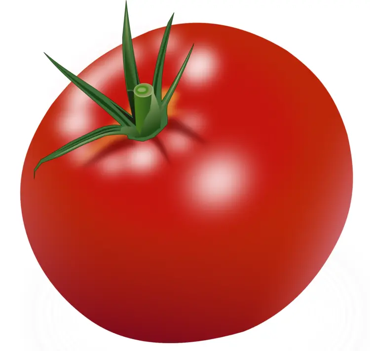 Red Tomato with Green Stem