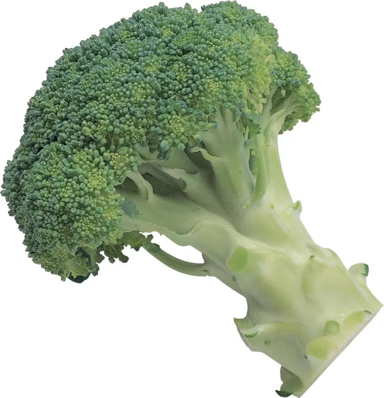 Fresh Green Broccoli