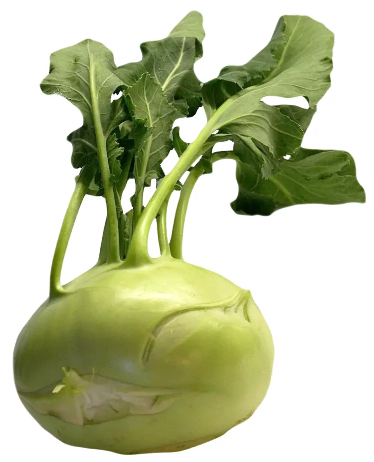 Fresh Green Kohlrabi