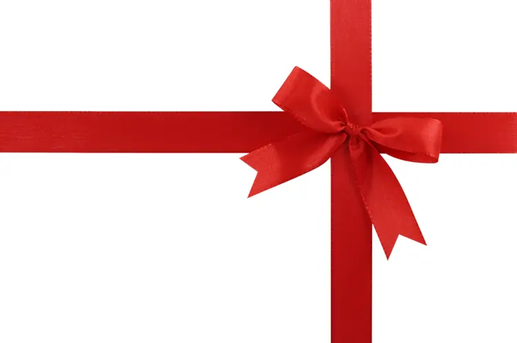 Red Bow on Gift