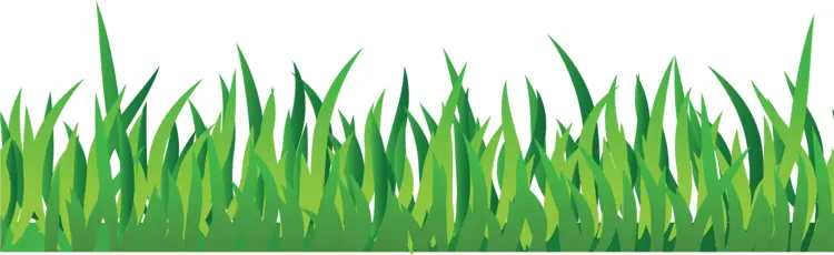 Vibrant Green Grass Blades