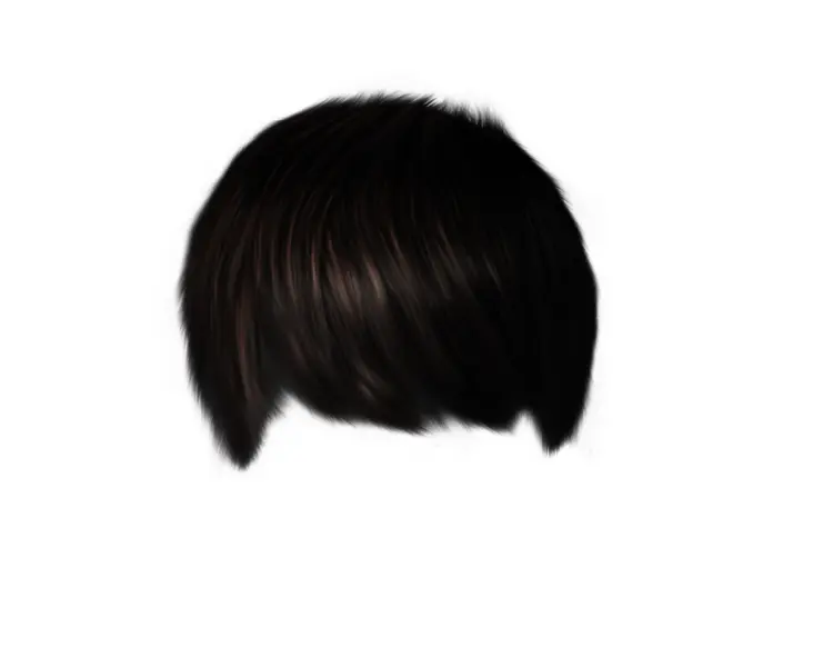 Black Hair Wig