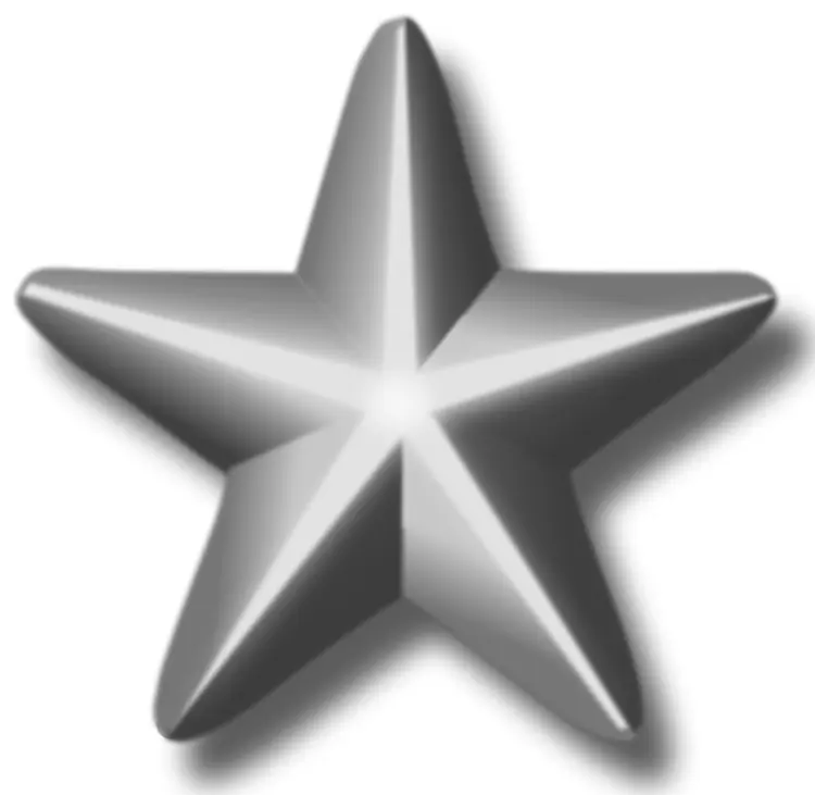 Shiny Silver Star Decoration
