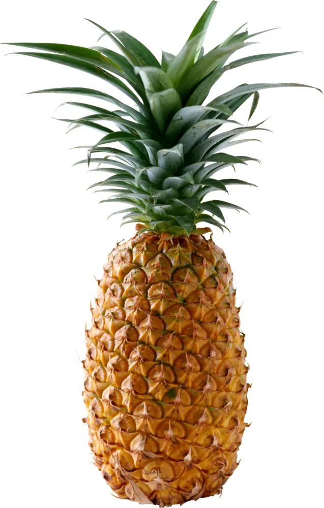 Ripe Pineapple
