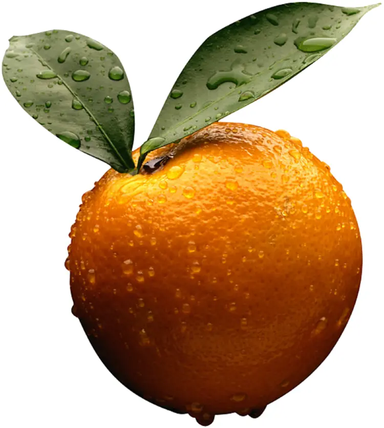 Fresh Orange with Leaves