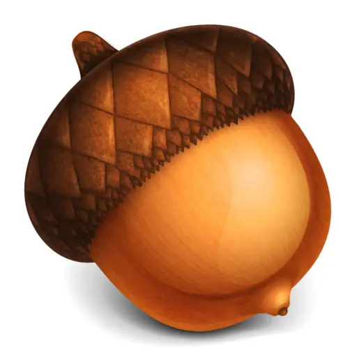 Brown Acorn with Textured Cap