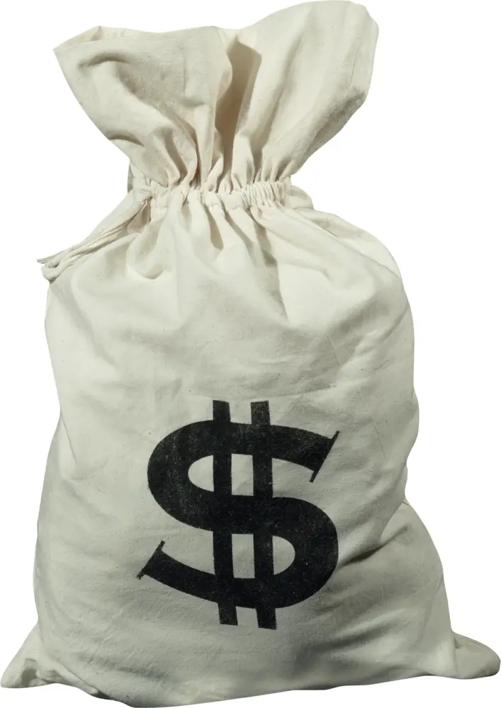 Large Money Bag with Dollar Sign