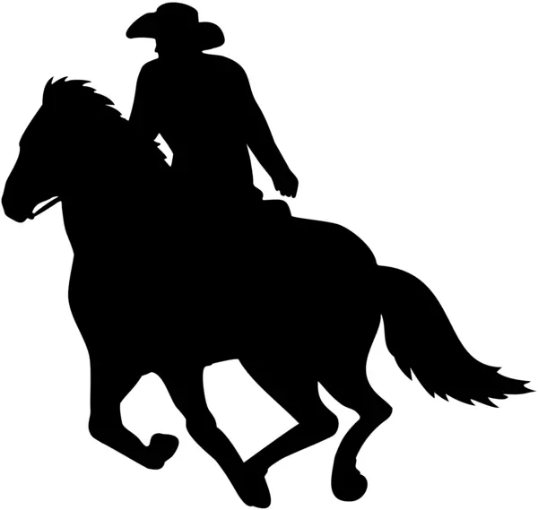 Silhouette of a person on a horse
