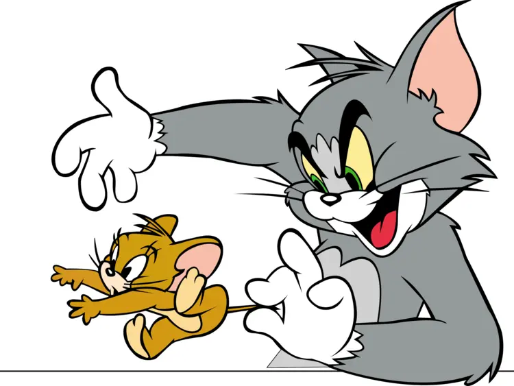 Gray Cat Chasing Mouse
