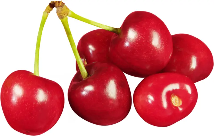 Cluster of Red Cherries
