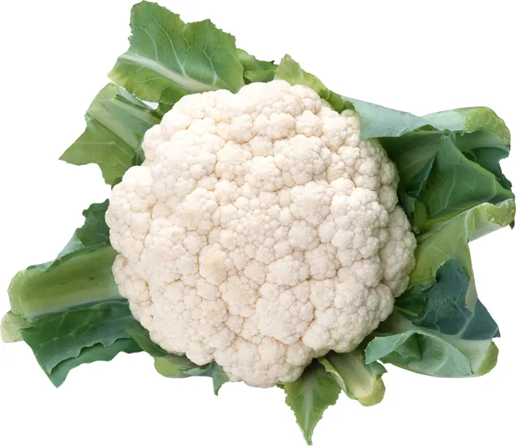 Fresh Cauliflower with Green Leaves