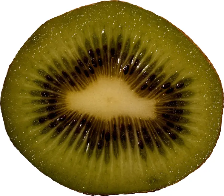Fresh Kiwi Slice