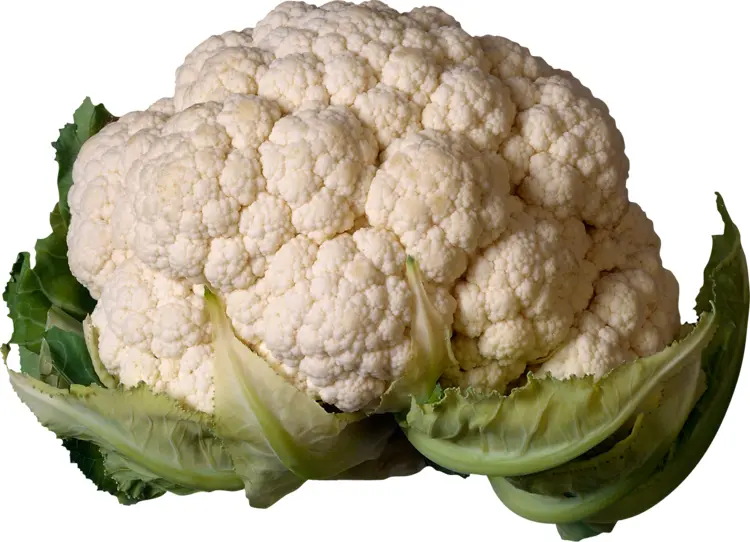 Fresh Cauliflower with Green Leaves