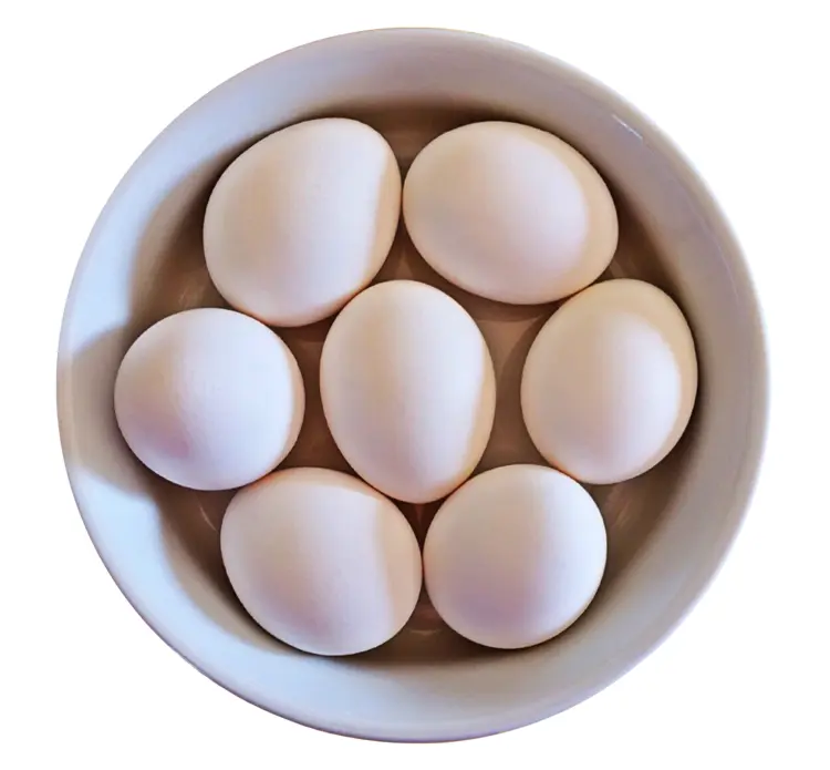 Bowl of White Eggs
