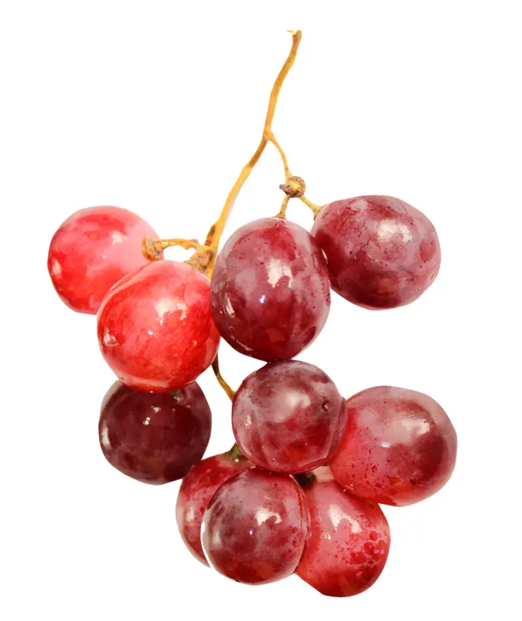 Fresh Bunch of Red Grapes