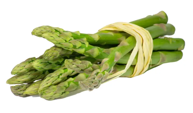 Fresh Green Asparagus