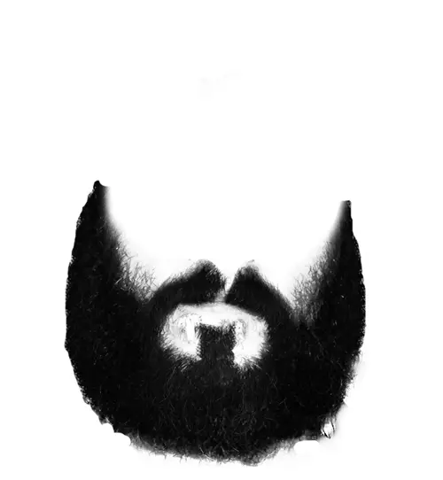 Black Beard Disguise