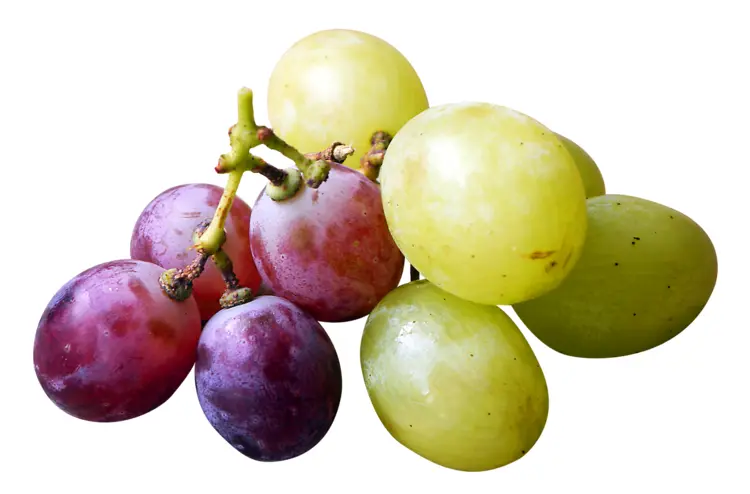 Mixed Grapes Bunch