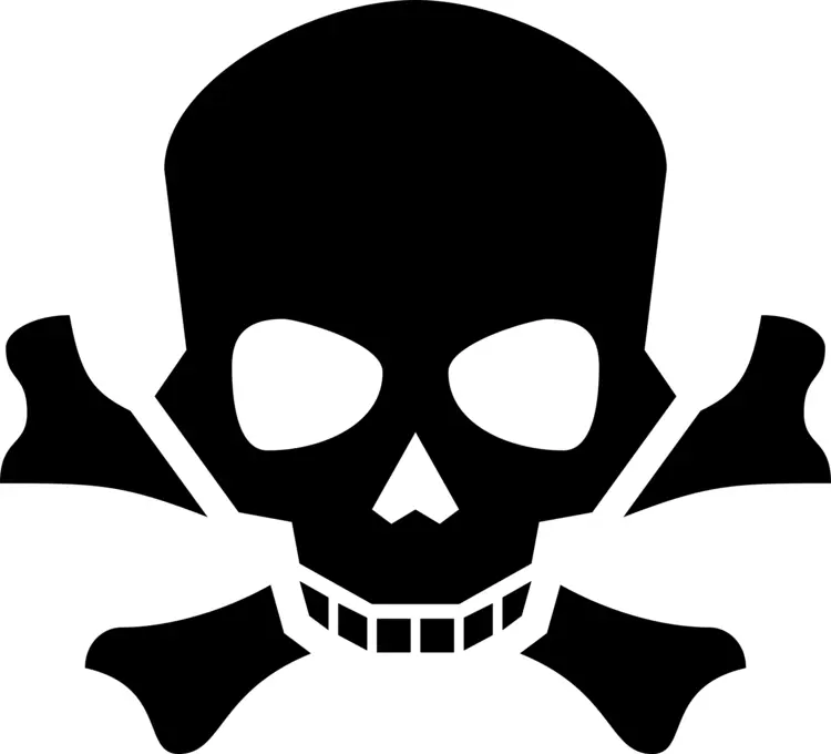 Black Skull with Crossbones