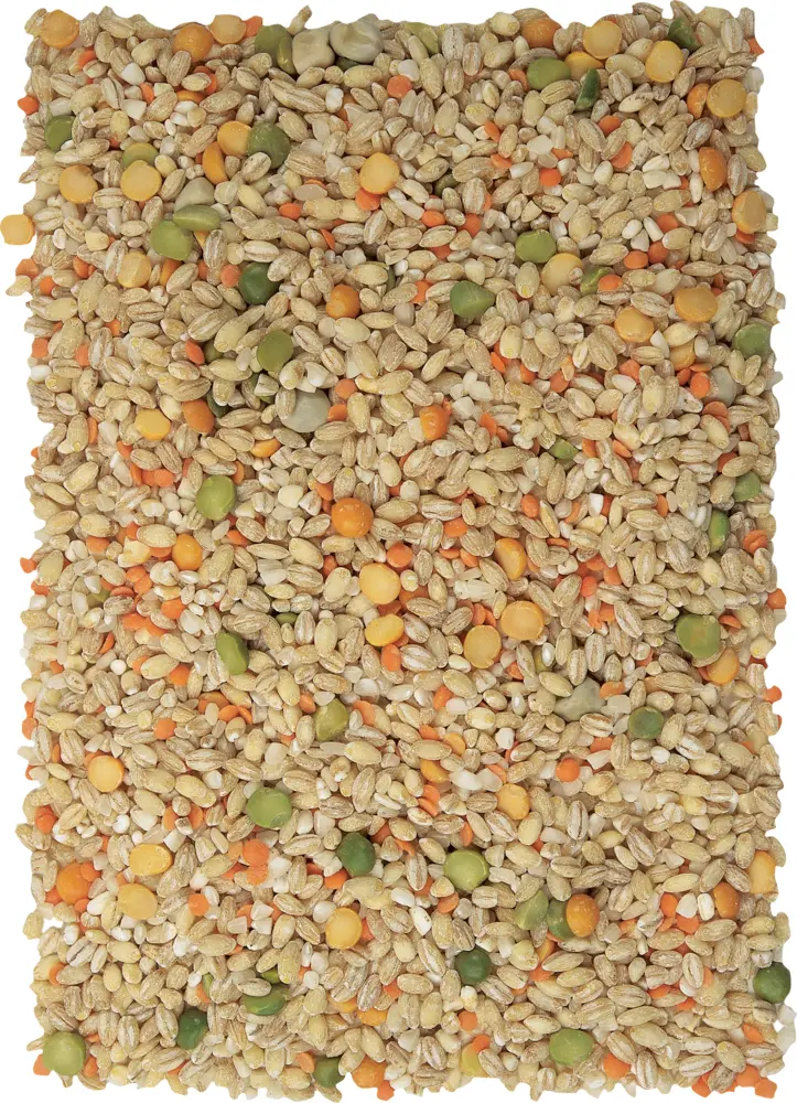 Mixed Grains and Seeds