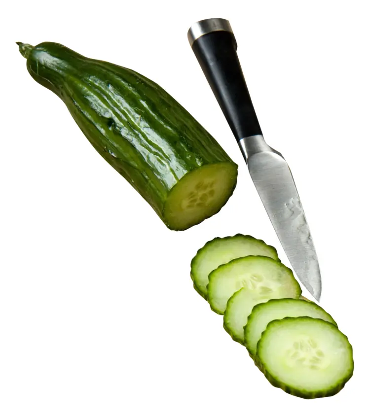 Cucumber Slices with Knife