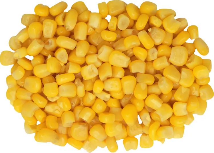 Pile of Yellow Corn Kernels