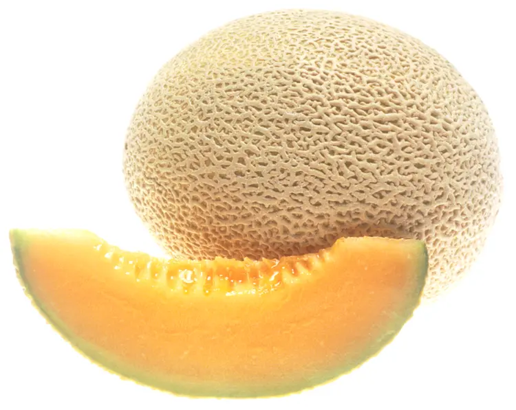 Whole and Sliced Cantaloupe