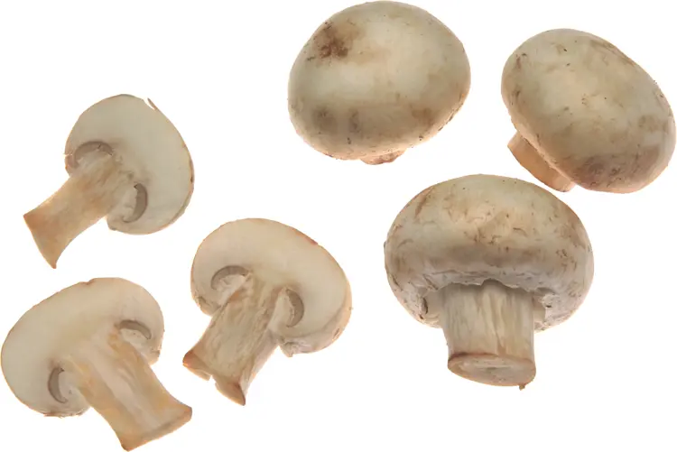 White Mushrooms