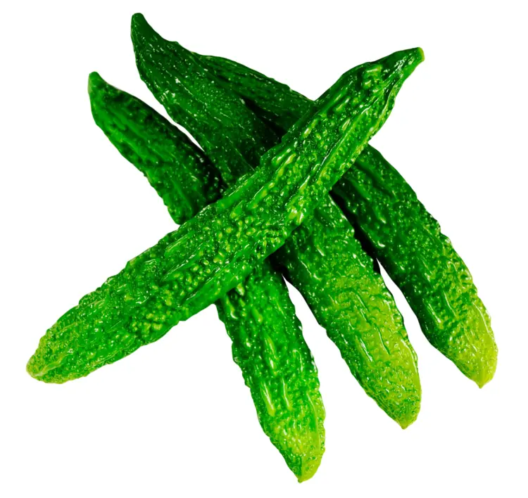 Fresh Green Bitter Melon