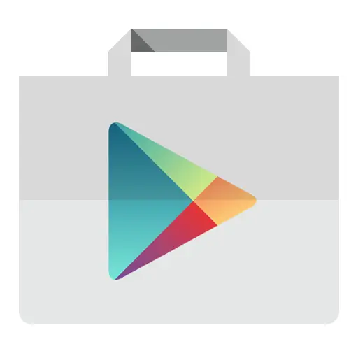 Google Play Store Icon