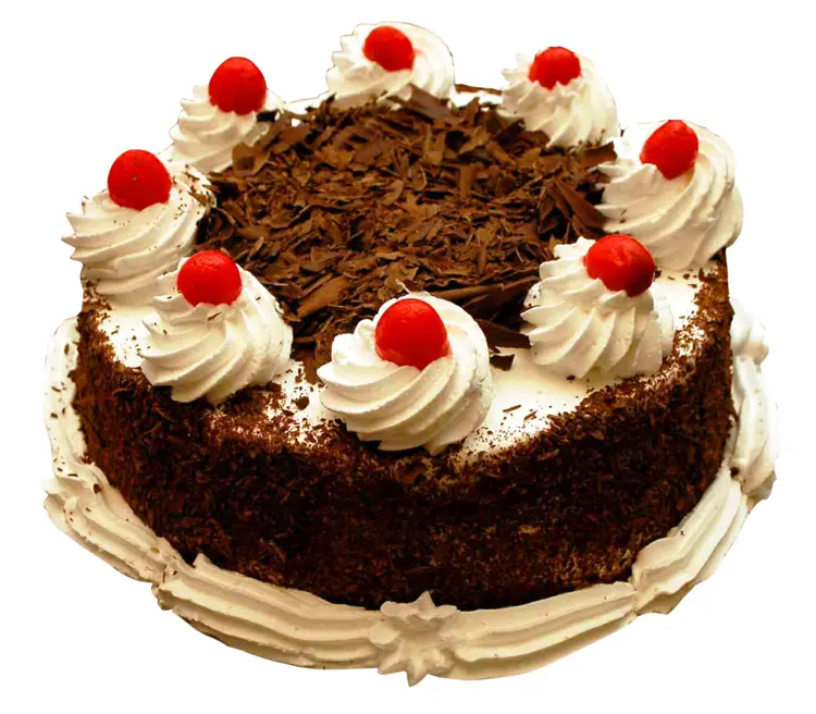Delicious Chocolate Cake with Whipped Cream and Cherries