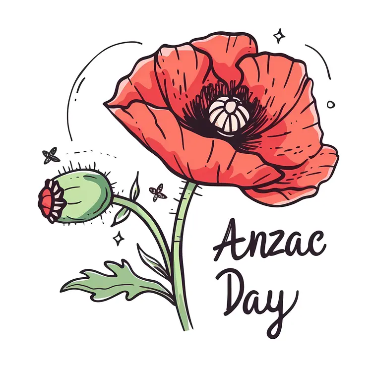 Red Poppy for ANZAC Day