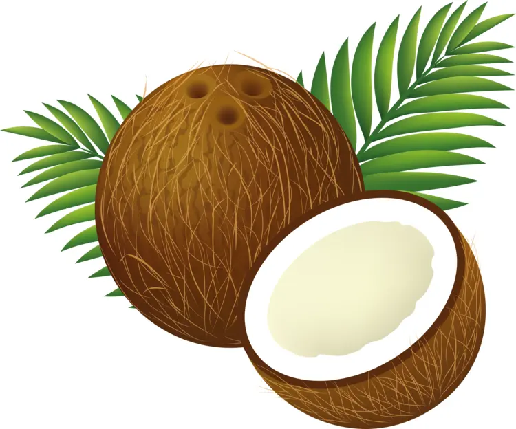 Coconuts with Green Leaves