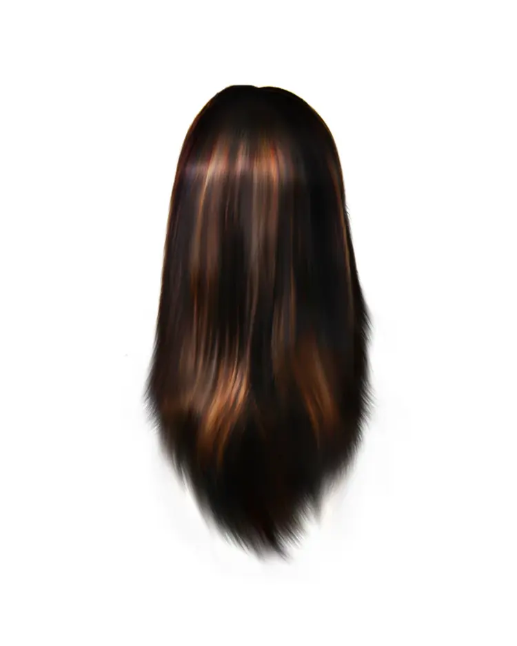 Long Brown Hair Illustration