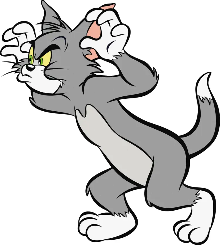 Angry Gray Cat in Cartoon Style