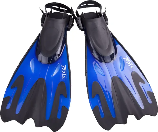 Blue Diving Fins for Underwater Adventures