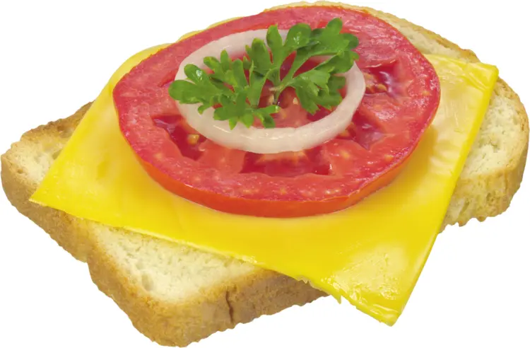 Open Sandwich with Cheese and Tomato