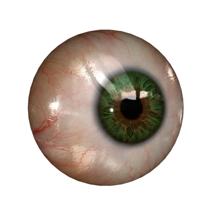Detailed Green Eye Illustration