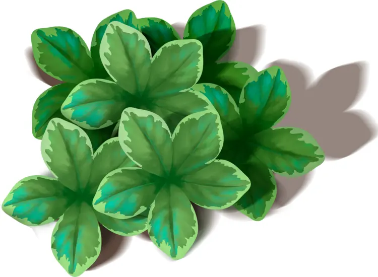 Green Leaves Cluster Illustration