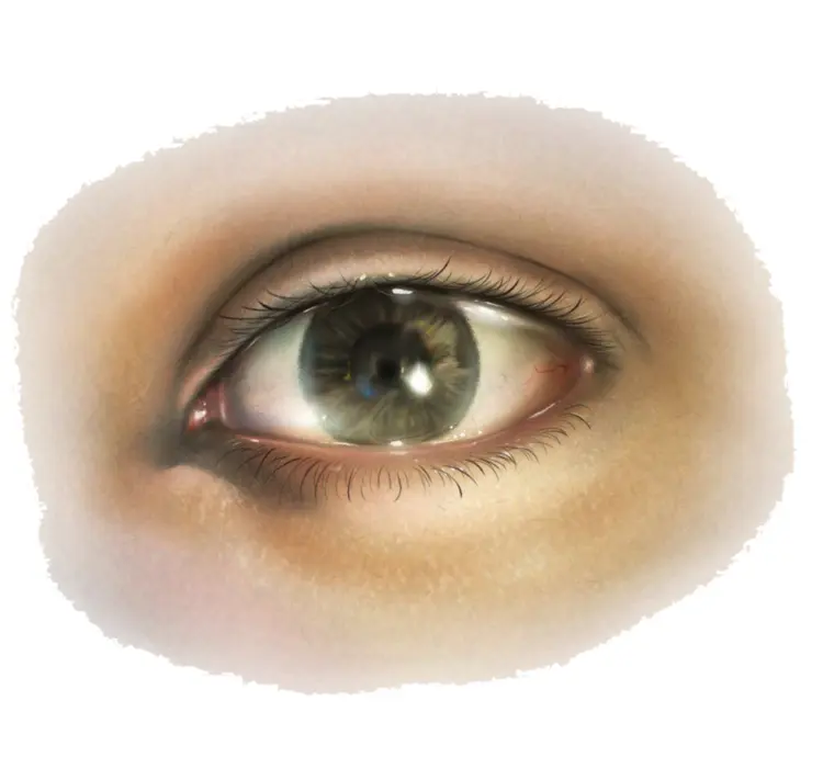 Realistic Human Eye Illustration