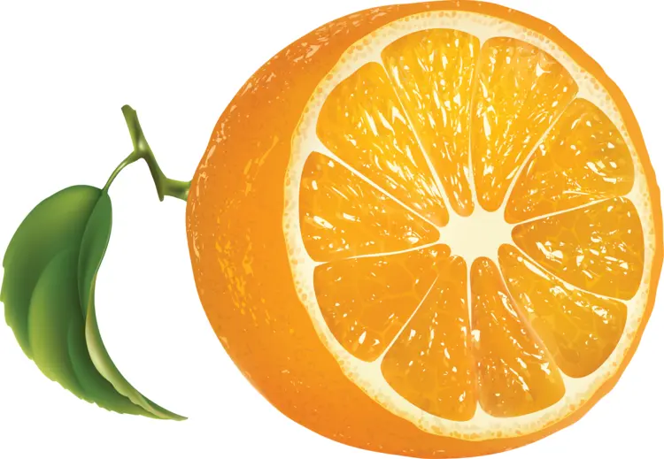 Half Orange with Leaf