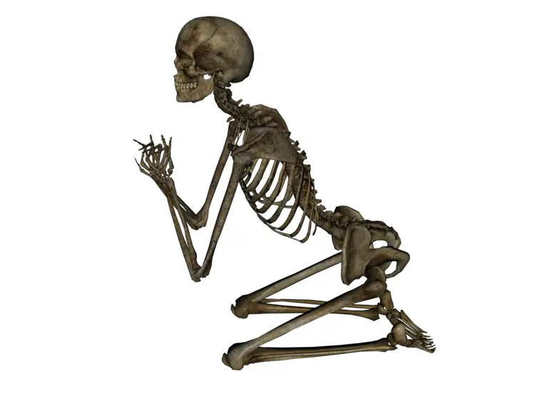 Human Skeleton in Kneeling Position